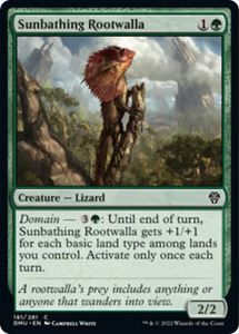 Sunbathing Rootwalla (Common) - 181/281